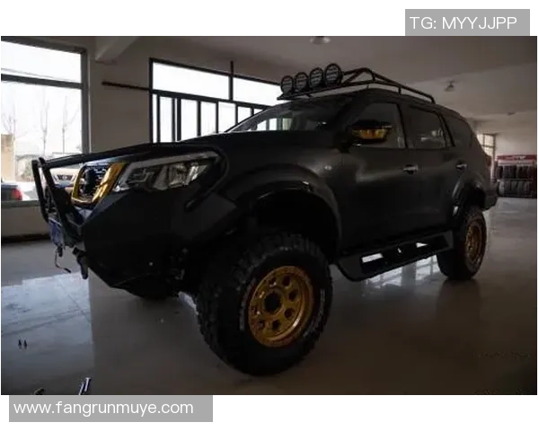 北京攀岩队区域防守策略解析与攀岩热点动态探讨