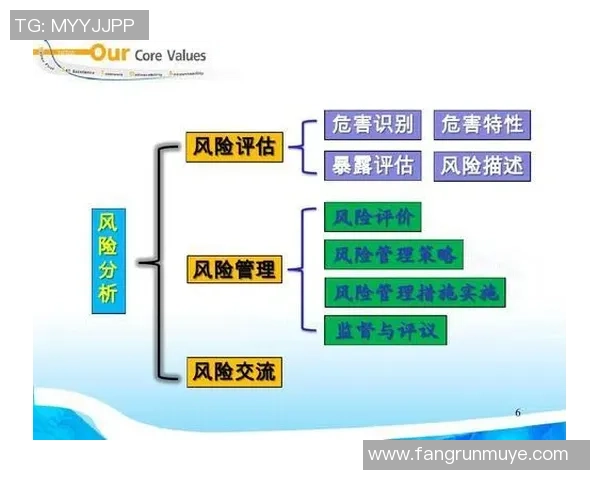 北京攀岩队实力分析与表现评估的全面数据研究报告