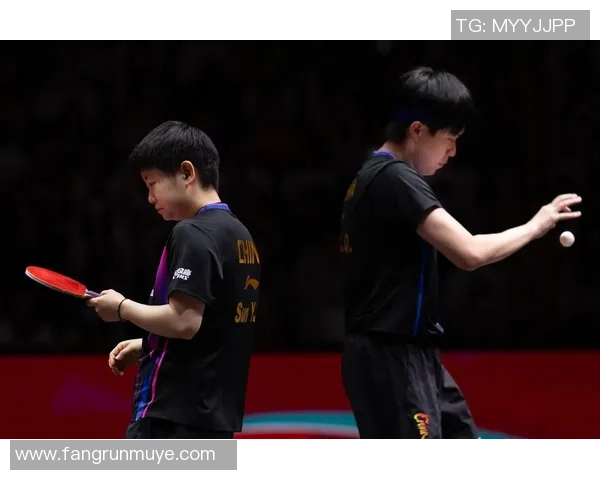 北京乒乓球队的节奏与风采探讨：聚焦乒乓球的魅力与发展